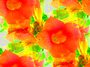 flowers 02