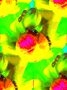 flowers 05