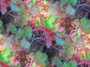 plants 07