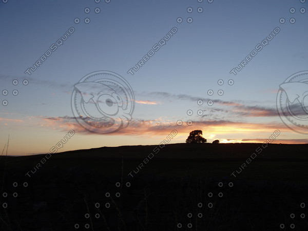 Night Morning Skies