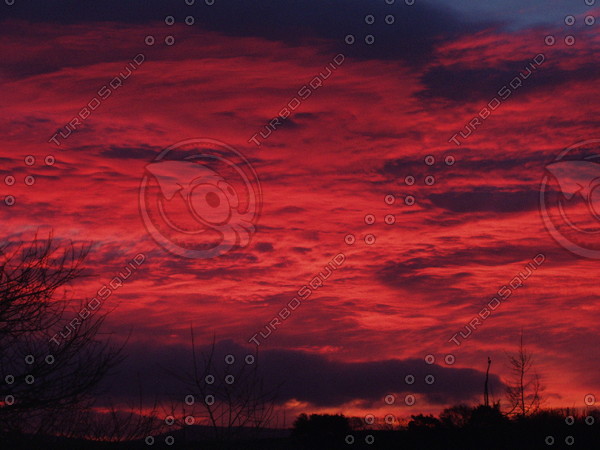 Night Morning Skies