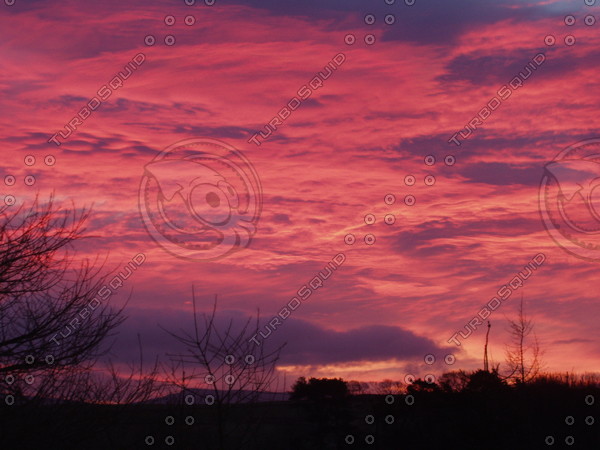 Night Morning Skies