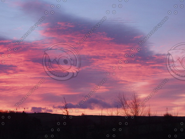 Night Morning Skies