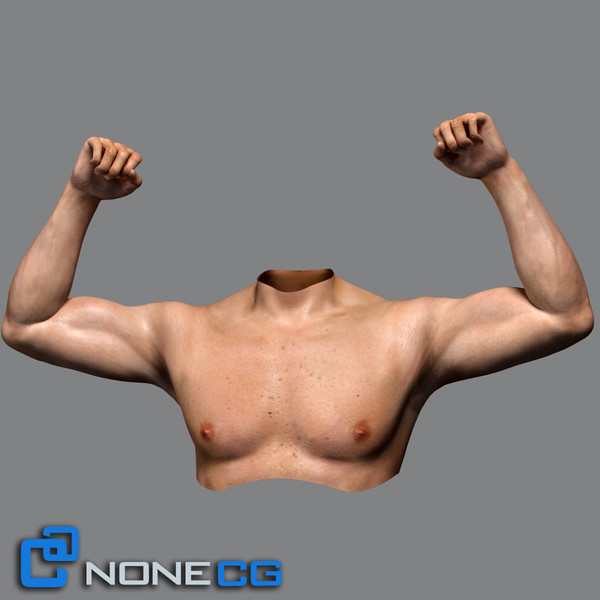 realistic male torso rigged man 3d max - Adult Male Torso Rigged... by NONECG