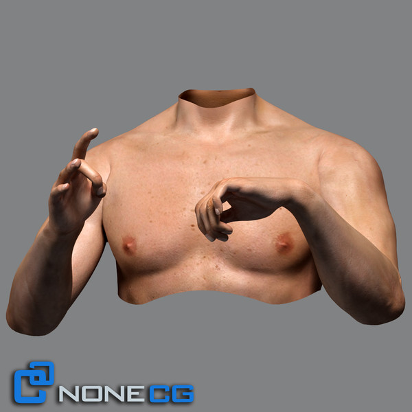 realistic male torso rigged man 3d max - Adult Male Torso Rigged... by NONECG