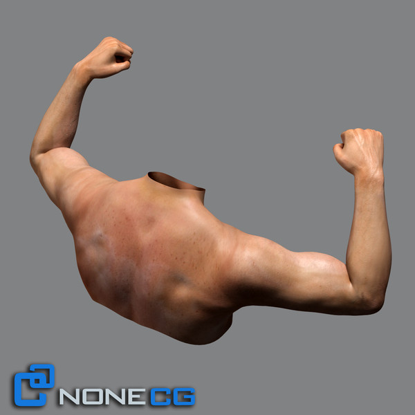 realistic male torso rigged man 3d max - Adult Male Torso Rigged... by NONECG