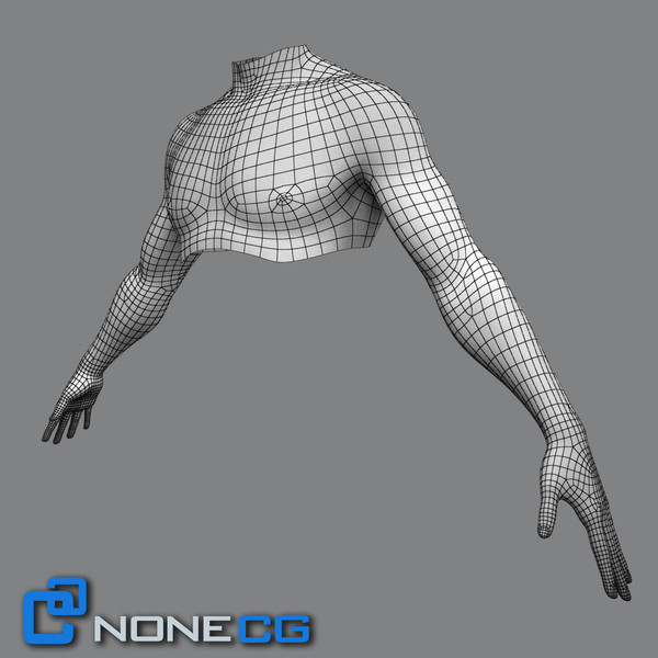 realistic male torso rigged man 3d max - Adult Male Torso Rigged... by NONECG