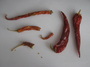 red peppers