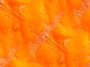 pumpkin 03