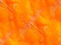 pumpkin 03 free