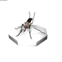 3ds culex pipiens