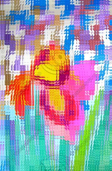 windowpane 10x