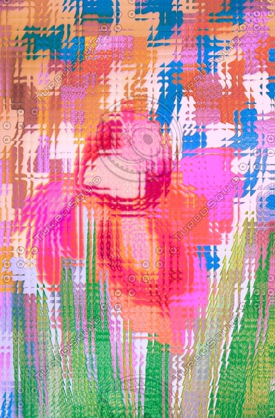 windowpane 10x