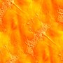 little seamless pumpkin texture