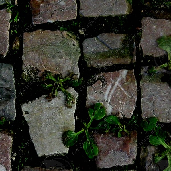 cobbles 03