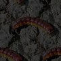 caterpillars on a hot road