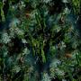 crazed forest