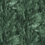 forest 03