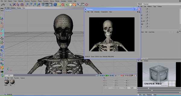 anatomical male skeleton 3d model - Anatomical Male Skeleton... by Imagework