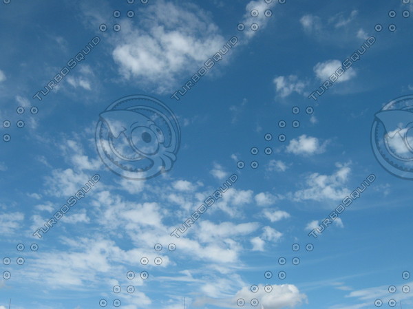 cloudy sky with trees silhouettes