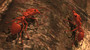 daceton ants 3d model