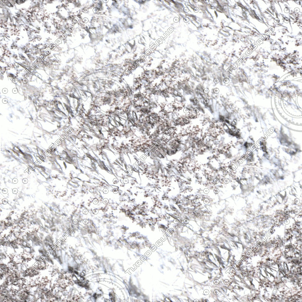 dried flowers in the snow - melancholic winter