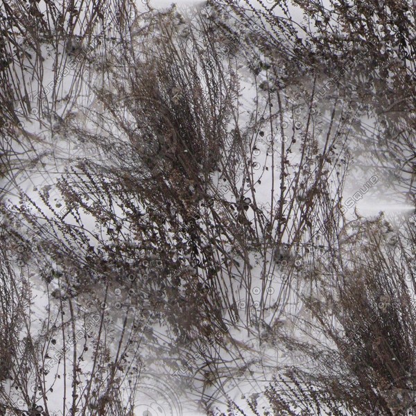 dried flowers in the snow - melancholic winter