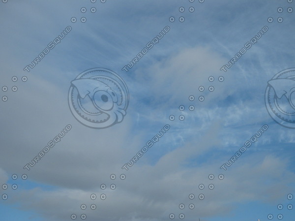 cloudy sky with trees silhouettes