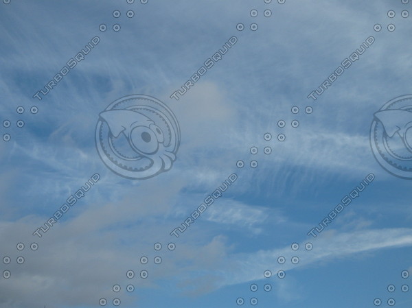 cloudy sky with trees silhouettes