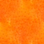 orange textures for free 512