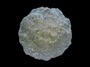 Water Material