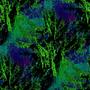 forest 03c
