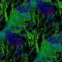 forest 03a