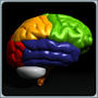 3ds max human brain