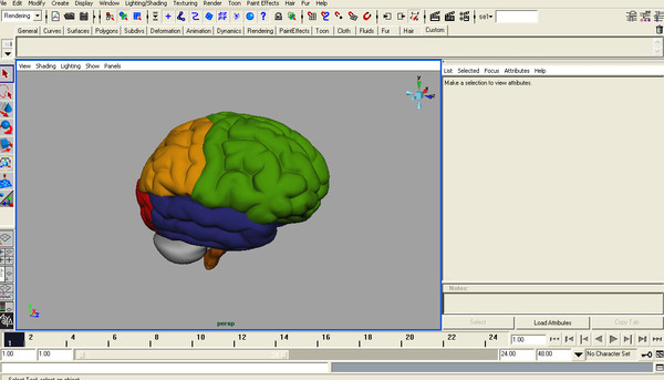 3ds max human brain - Human Brain Untextured... by Imagework