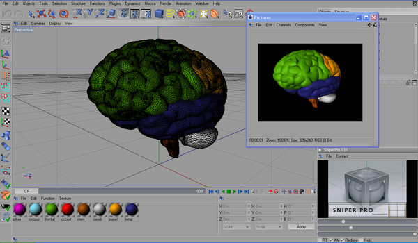 3ds max human brain - Human Brain Untextured... by Imagework