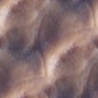 walnut 02 c