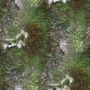 wall 04