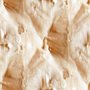 yeast 07