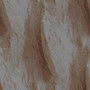 yeast 05