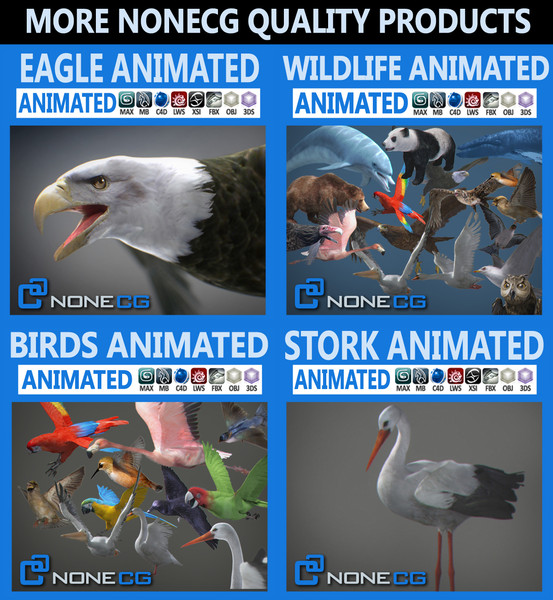hawk eagle 3d obj - Animated Hawk... by NONECG