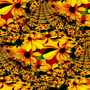flower abstract texture