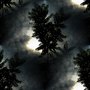 dark sky