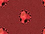 red rose tileable texture 01
