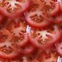 tomatoes 01