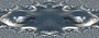 pidgeon ornamental background