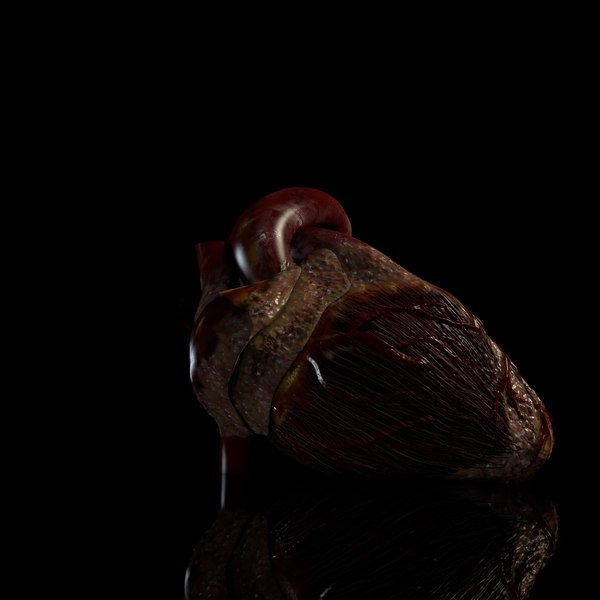 cinema4d heart beating - Beating Heart... by IMM