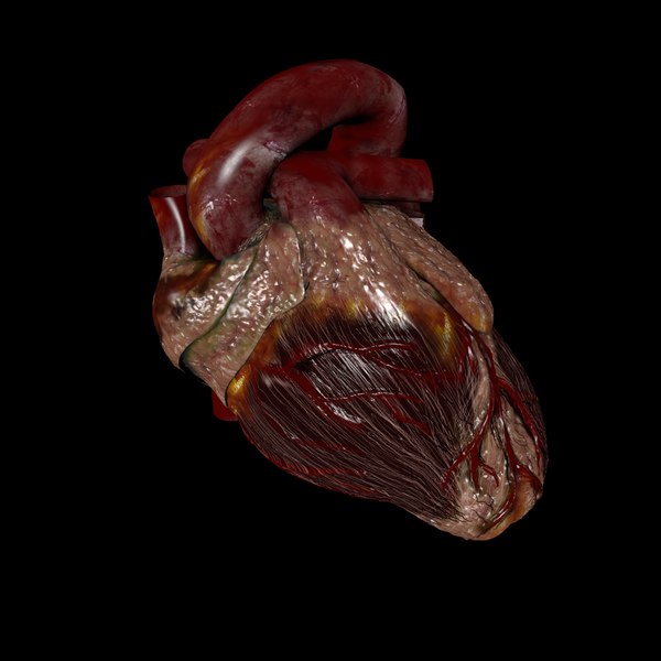 cinema4d heart beating - Beating Heart... by IMM