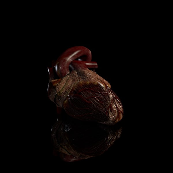 cinema4d heart beating - Beating Heart... by IMM