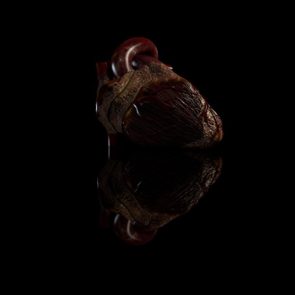 cinema4d heart beating - Beating Heart... by IMM